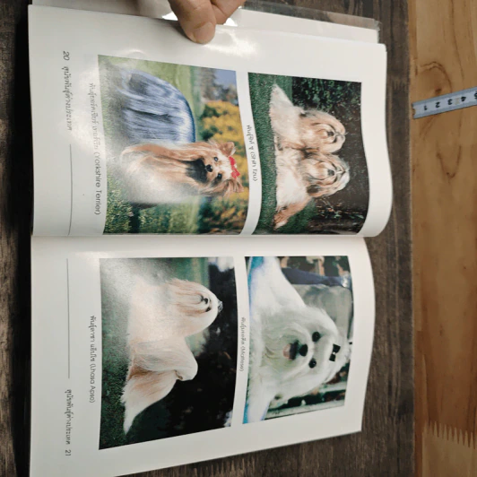 สุนัขพันธุ์ต่างประเทศ Dogs World - สันต์ นาคะสุวรรณ รูปที่ 7