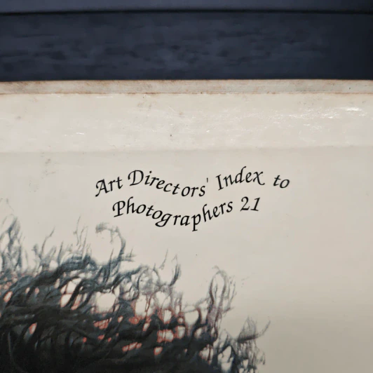 Boxset Art Director' Index to photographers 21 Vol.1-2 รูปที่ 2