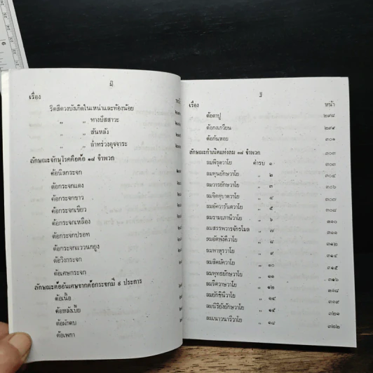 ตำรายาวัดโพธิ์ ตำรานวดแผนโบราณ ฤๅษีดัดตน ฉบับสมบูรณ์ รูปที่ 12