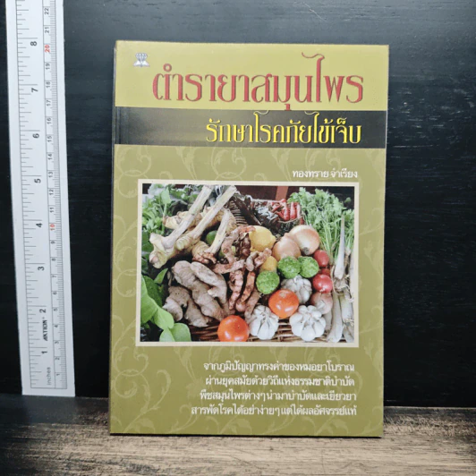 ตำรายาสมุนไพร รักษาโรคภัยไข้เจ็บ - ทองทรายจำเรียง รูปที่ 1