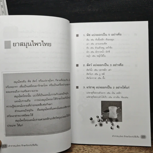 ตำรายาสมุนไพร รักษาโรคภัยไข้เจ็บ - ทองทรายจำเรียง รูปที่ 10