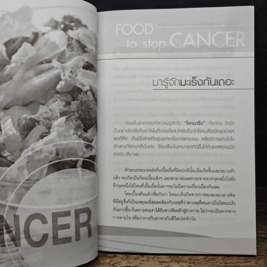 เคล็ดสำคัญเรื่องอาหารการกินต้านมะเร็ง - กาญจนา ลิขิตสถาพร รูปที่ 4