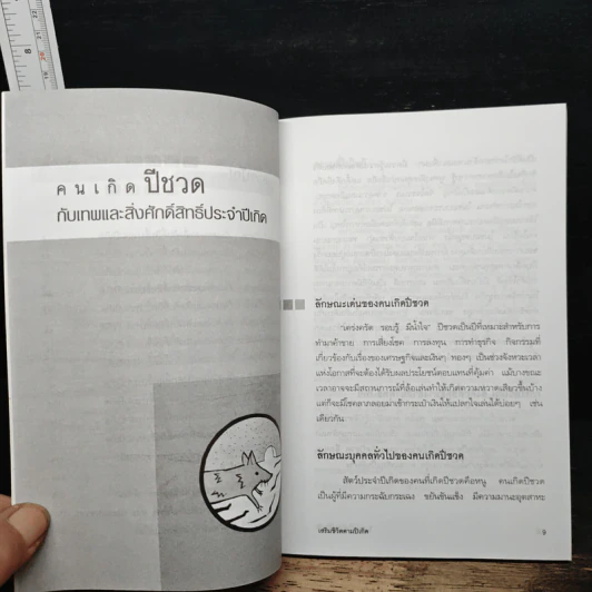 ไหว้เทพสิ่งศักดิ์สิทธิ์ เสริมชีวิตตามปีเกิด - พงษ์ ณ พัฒน์ รูปที่ 8
