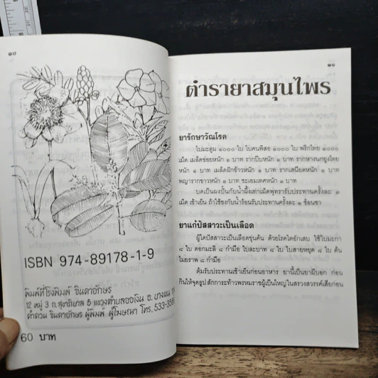 ตำรายาสมุนไพร รูปที่ 8