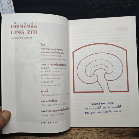 เห็ดหลินจือ Ling Zhi - นายแพทย์สุรพล รักปทุม, นายแพทย์ชวลิต สันติกิจรุ่งเรือง รูปที่ 6