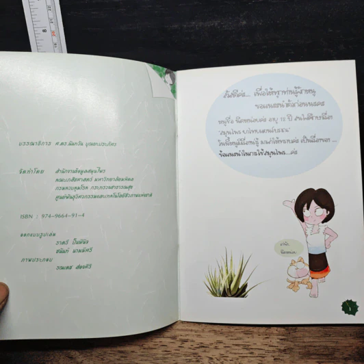 ข้อแนะนำในการใช้สมุนไพร รูปที่ 6