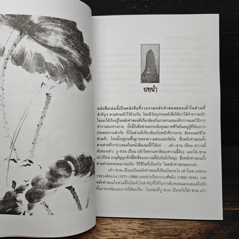 วิถีแห่งสุขพ้นทุกข์ด้วยเต๋า - ศักดิ์ บวร รูปที่ 8