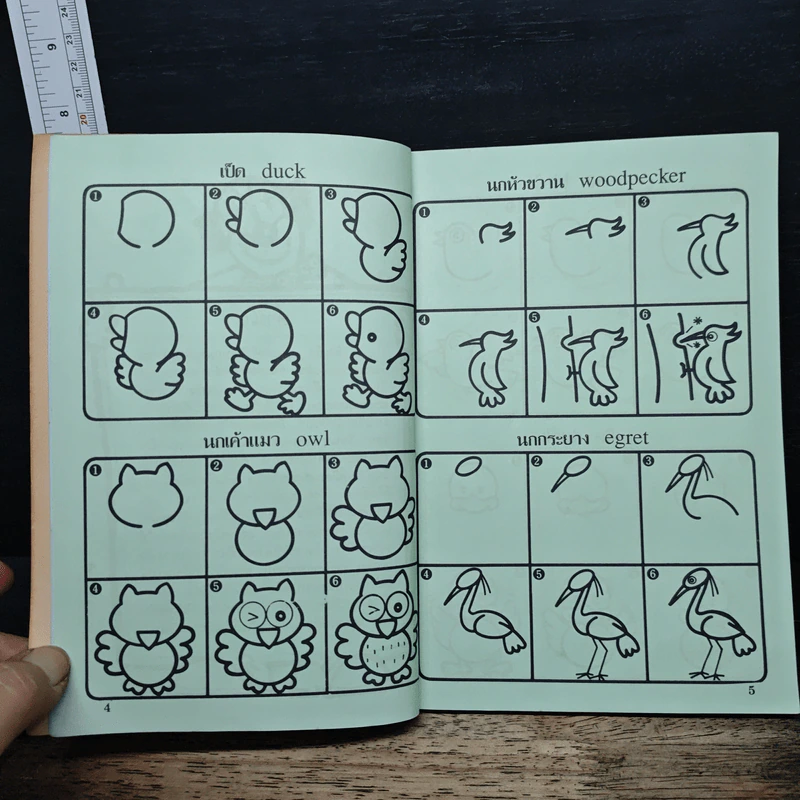 หัดวาดการ์ตูน 4 รูปสัตว์ปีก รูปที่ 7