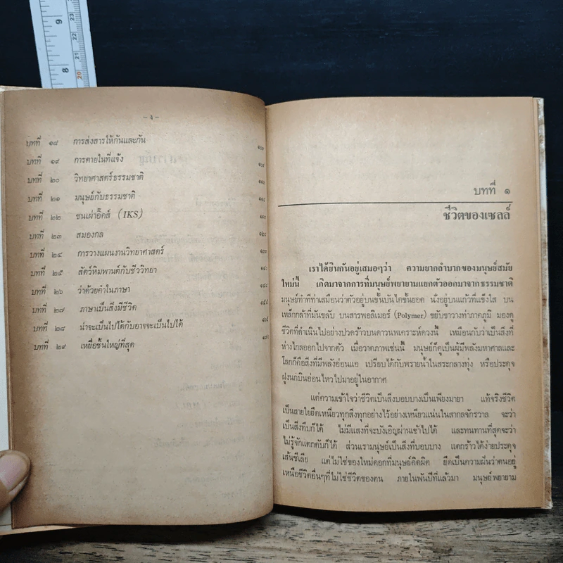 ชีวิตของเซลล์ - ลิวอิส ธอมัส รูปที่ 8
