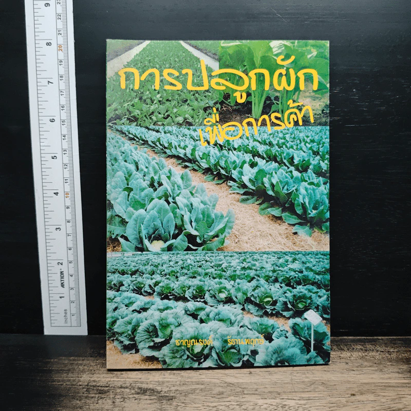 การปลูกผักเพื่อการค้า รูปที่ 1