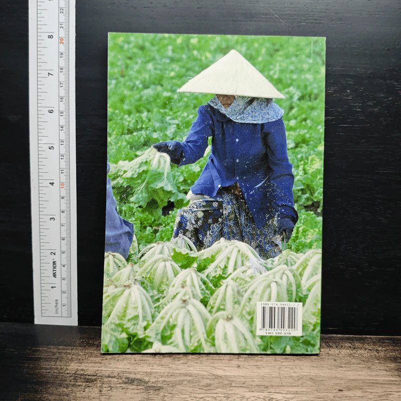 การปลูกผักเพื่อการค้า รูปที่ 2