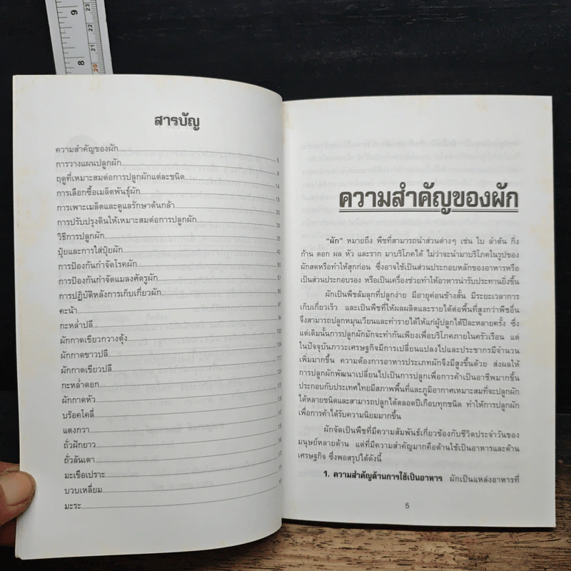 การปลูกผักเพื่อการค้า รูปที่ 7