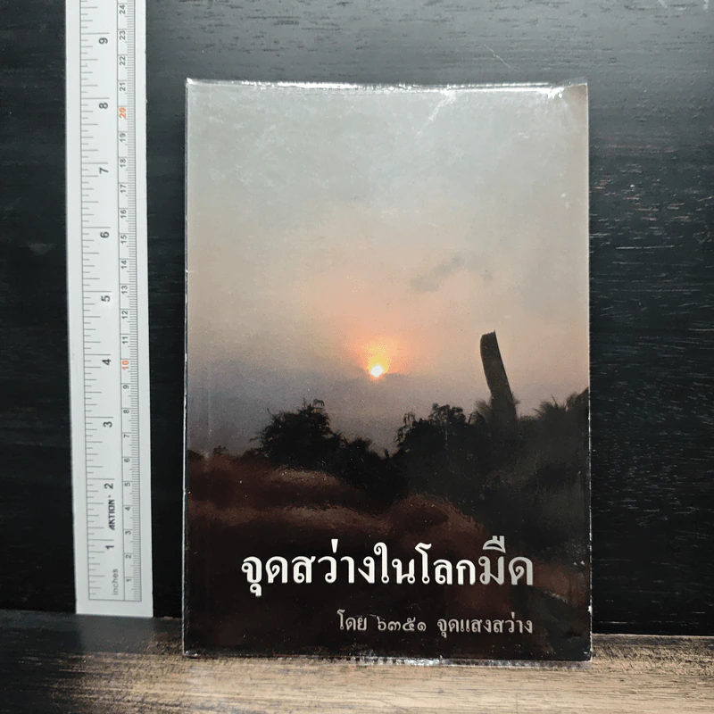 จุดสว่างในโลกมืด - 6351 จุดแสงสว่าง รูปที่ 1