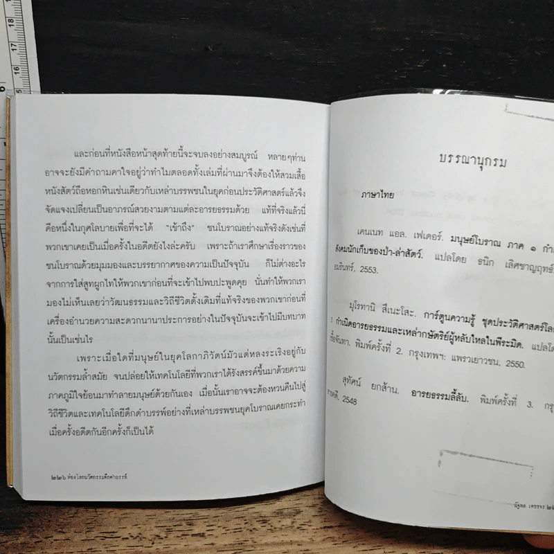 ท่องโลกนวัตกรรมดึกดำบรรพ์ - ณัฐพล เดชขจร รูปที่ 9