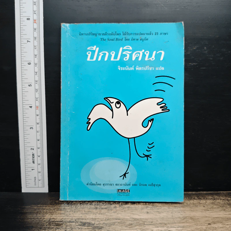 ปีกปริศนา - จิระนันท์ พิตรปรีชา รูปที่ 1