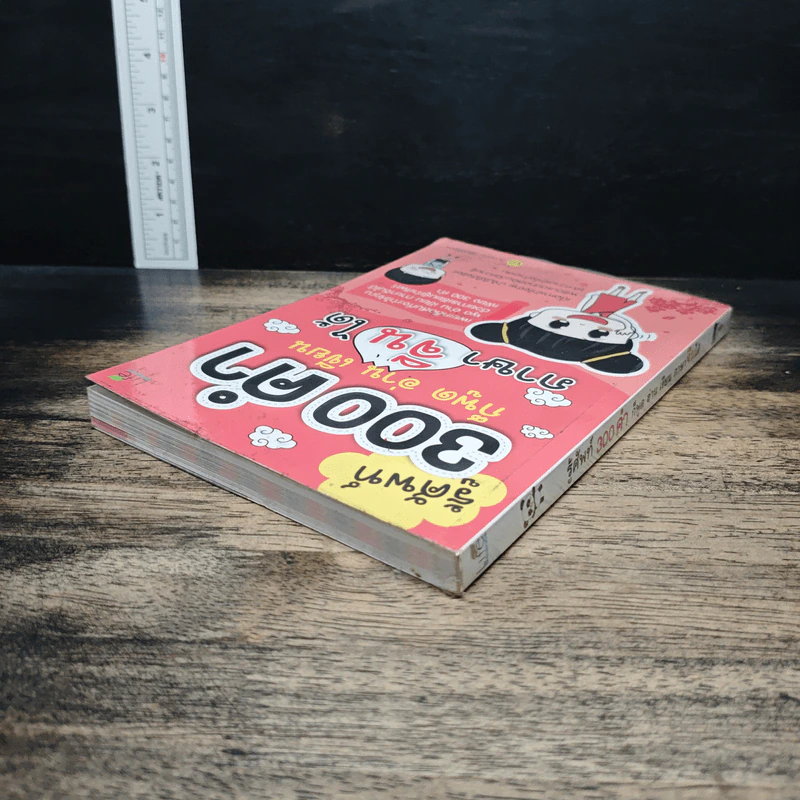 รู้ศัพท์ 300 คำ ก็พูด อ่าน เขียน ภาษาจีนได้ - วิมลรัตน์ วศินนิติวงศ์ รูปที่ 5