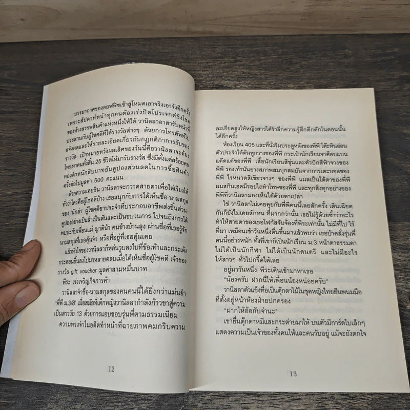 เขตการปกครองมายองเนส - จิราภรณ์ วิหวา รูปที่ 7