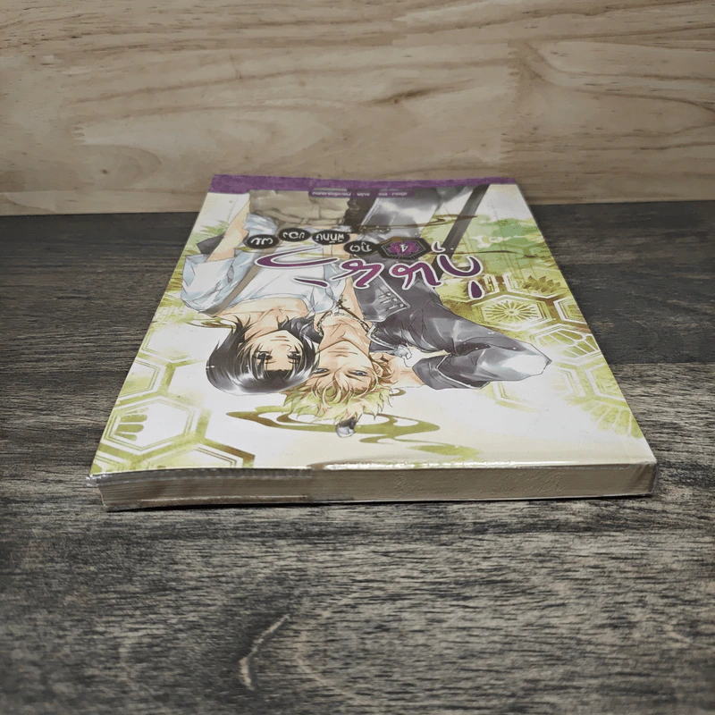 วุ่นนักภูตพิทักษ์ของผม เล่ม 4 - ตง, กระเรียนแดง รูปที่ 4