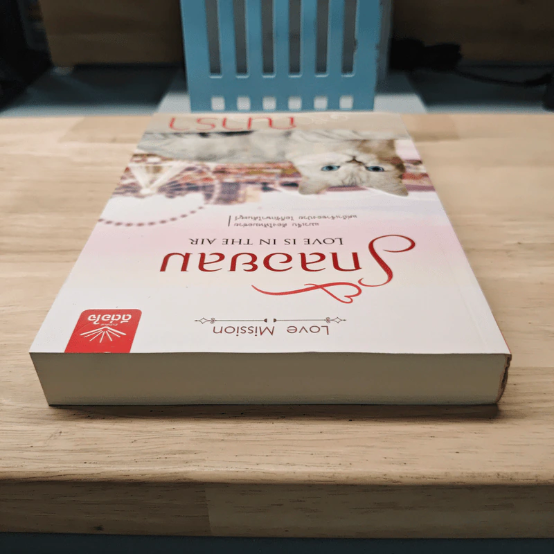 รักลอยลม - ณารา รูปที่ 4