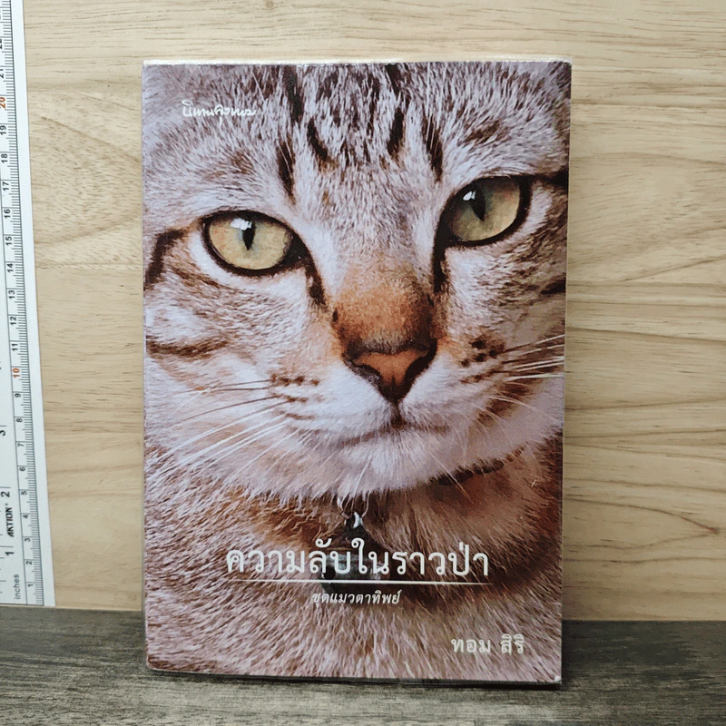 ความลับในราวป่า - ทอม สิริ รูปที่ 1