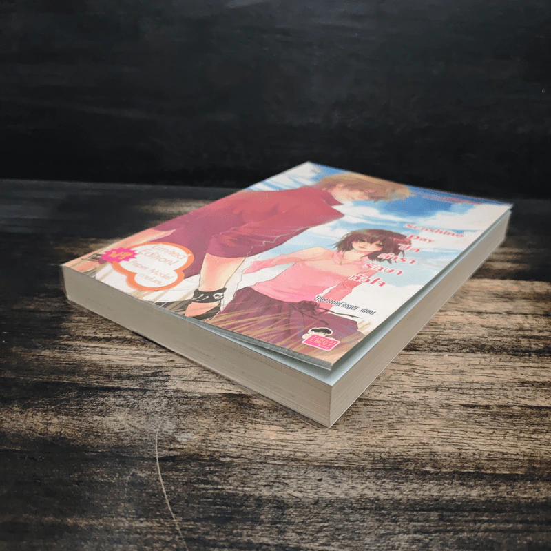Sunshine Day ปิดตำรารักษาหัวใจ - TheLittleFinger รูปที่ 4