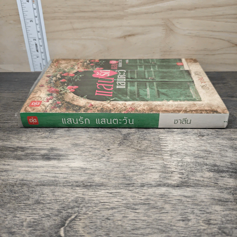 แสนรักแสนตะวัน - ชาลีน รูปที่ 2