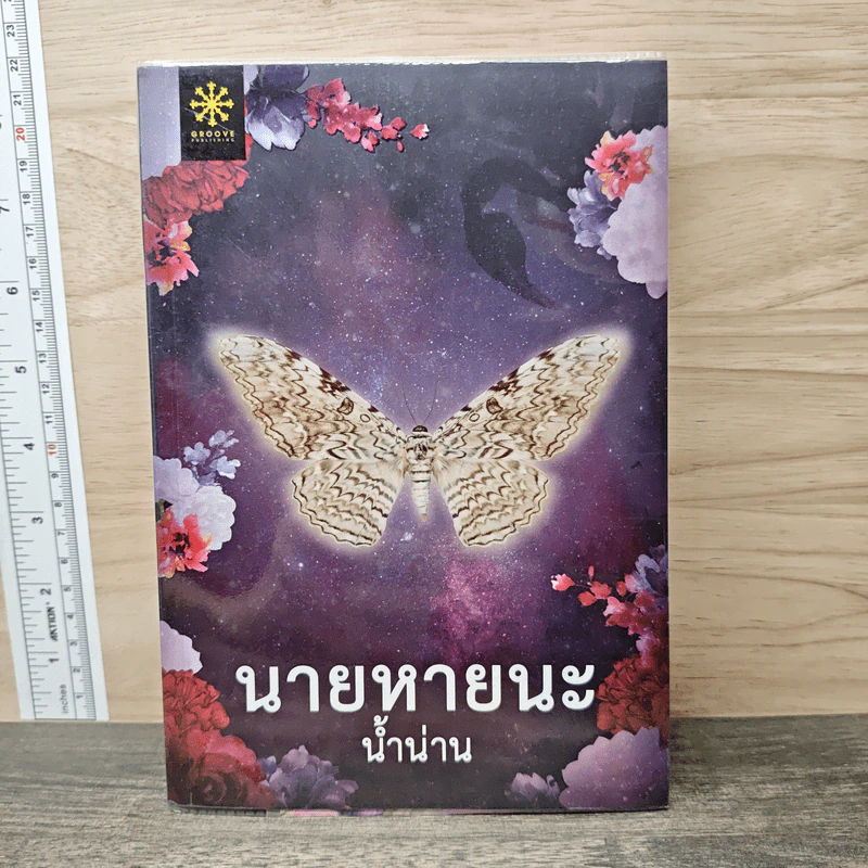 นายหายนะ - น้ำน่าน รูปที่ 1