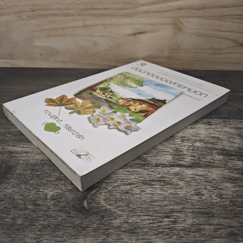 อ้อมกอดของสายหมอก - bookmark รูปที่ 3