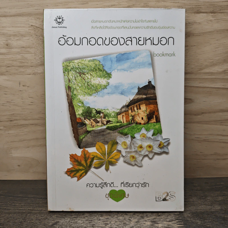 อ้อมกอดของสายหมอก - bookmark รูปที่ 1