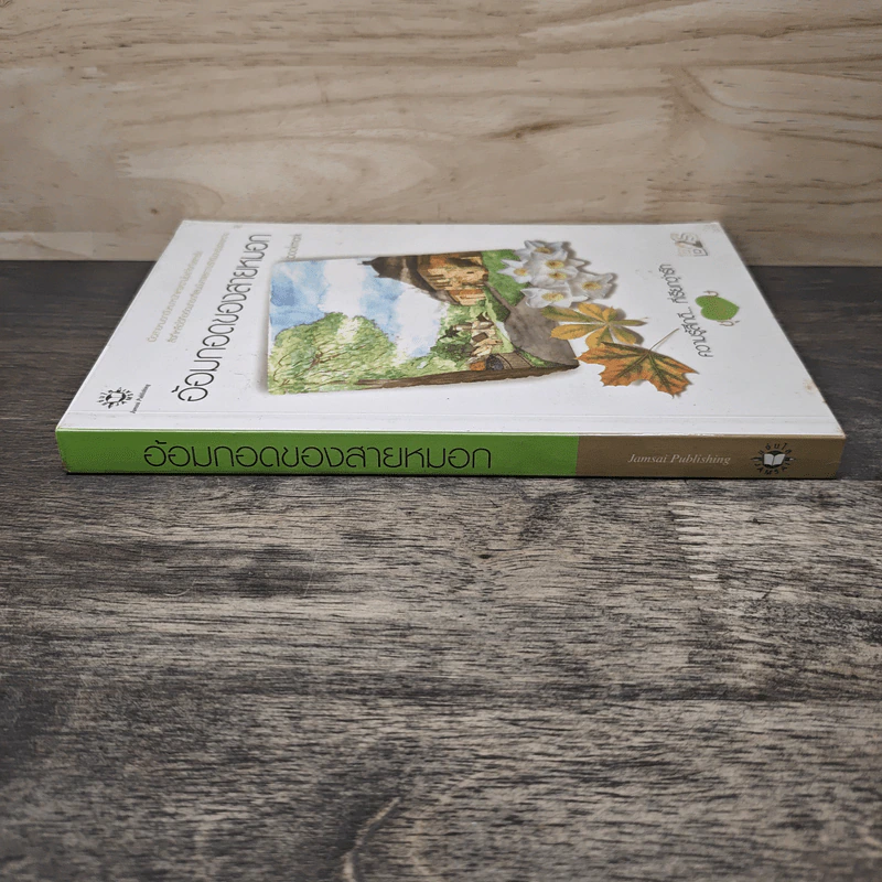 อ้อมกอดของสายหมอก - bookmark รูปที่ 2