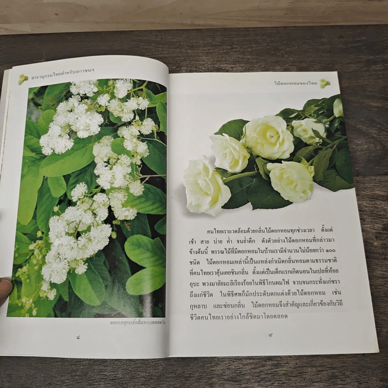 สารานุกรมไทยสำหรับเยาวชน เล่ม 1 รูปที่ 6