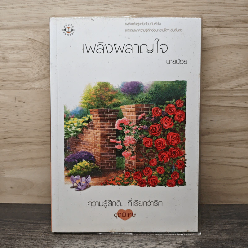 เพลิงผลาญใจ - นายน้อย รูปที่ 1