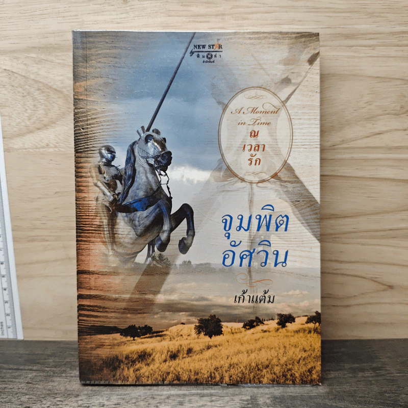 จุมพิตอัศวิน - เก้าแต้ม รูปที่ 1