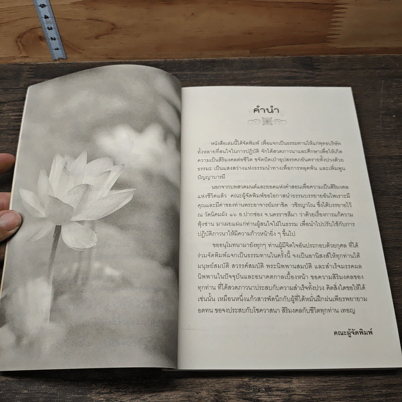 พักใจ...ไว้ที่นี่ รูปที่ 6