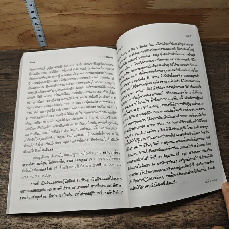 ไปสืบศาสนาในลังกาและอินโดนีเซีย - พระกวีวรญาณ รูปที่ 10