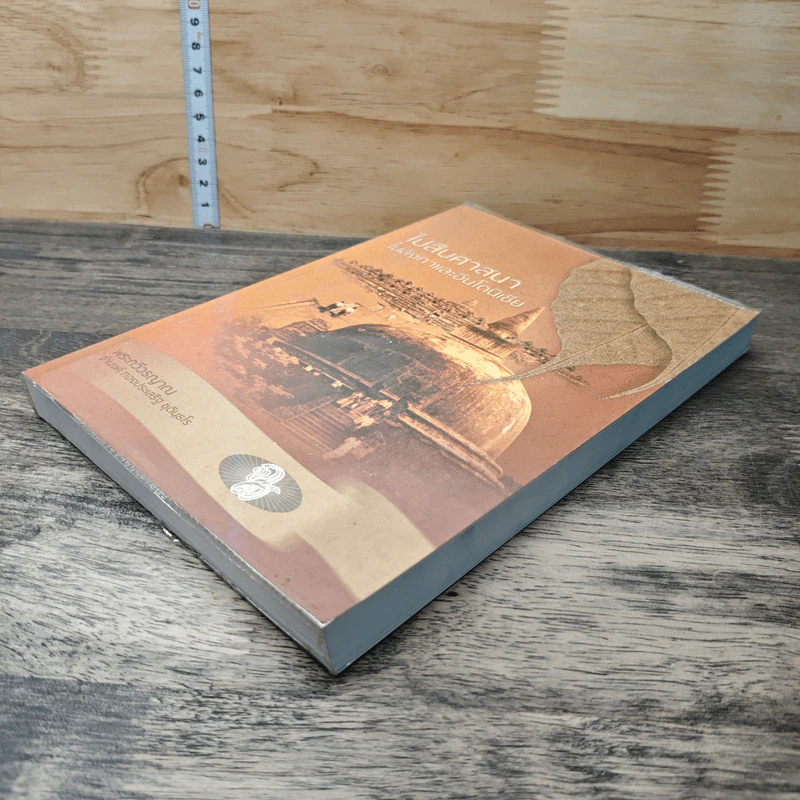 ไปสืบศาสนาในลังกาและอินโดนีเซีย - พระกวีวรญาณ รูปที่ 3