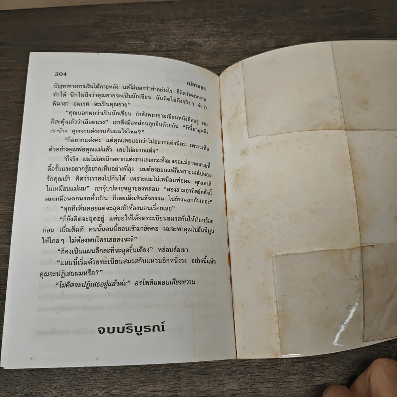 เปลวทอง - จามรี พรรณชมพู รูปที่ 8