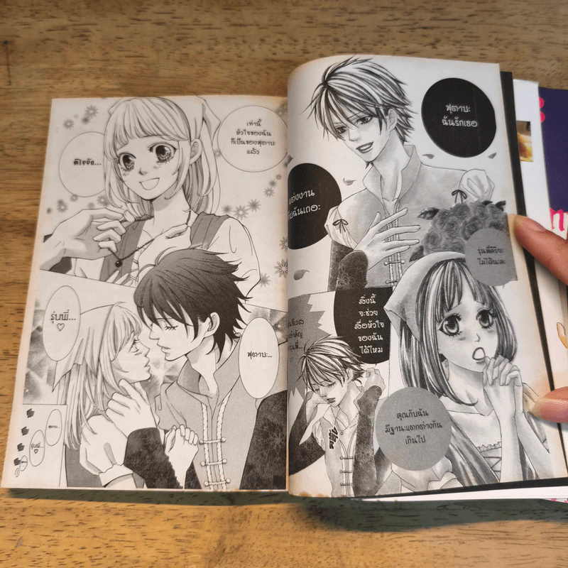 ROSE & WOLF เทพบุตรหมาป่ากับแม่กุหลาบป้ำเป๋อ เล่ม 1-3 - Jun Yuzuki รูปที่ 7