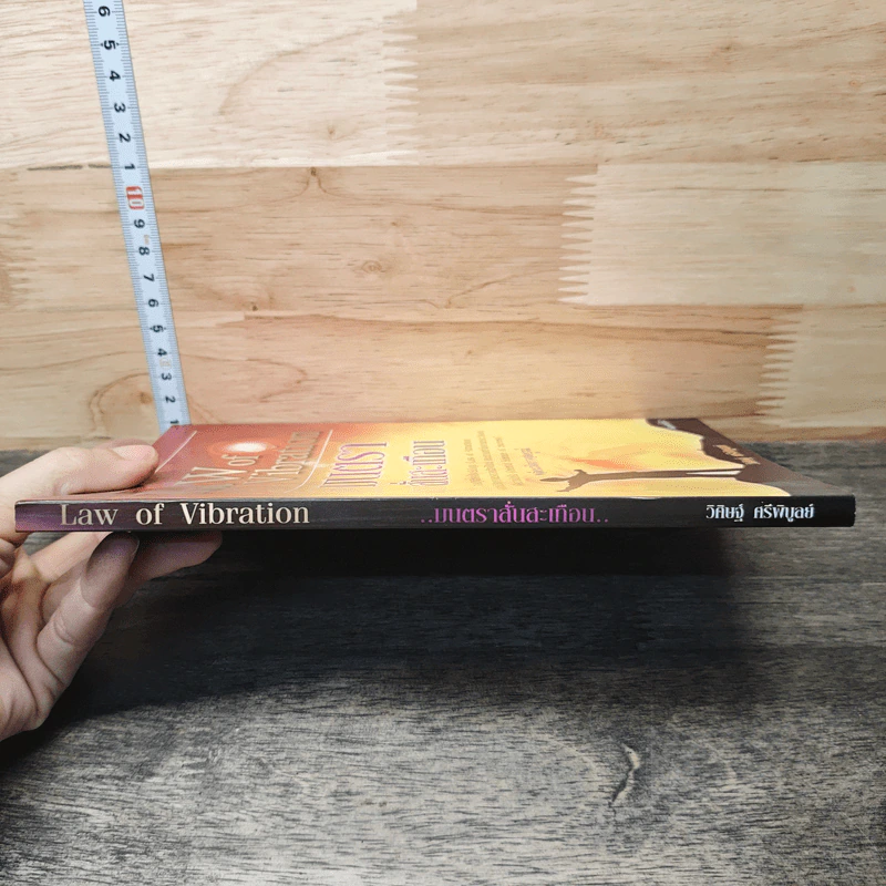 Law of Vibration มนตราสั่นสะเทือน พลังเนรมิตภาคสมบูรณ์ - วิศิษฐ์ ศรีพิบูลย์ รูปที่ 2