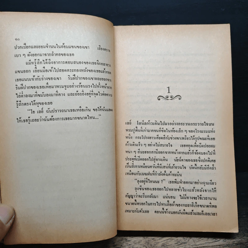 นิยายโรมานซ์ เมียเก็บ - ไพลิน รูปที่ 8