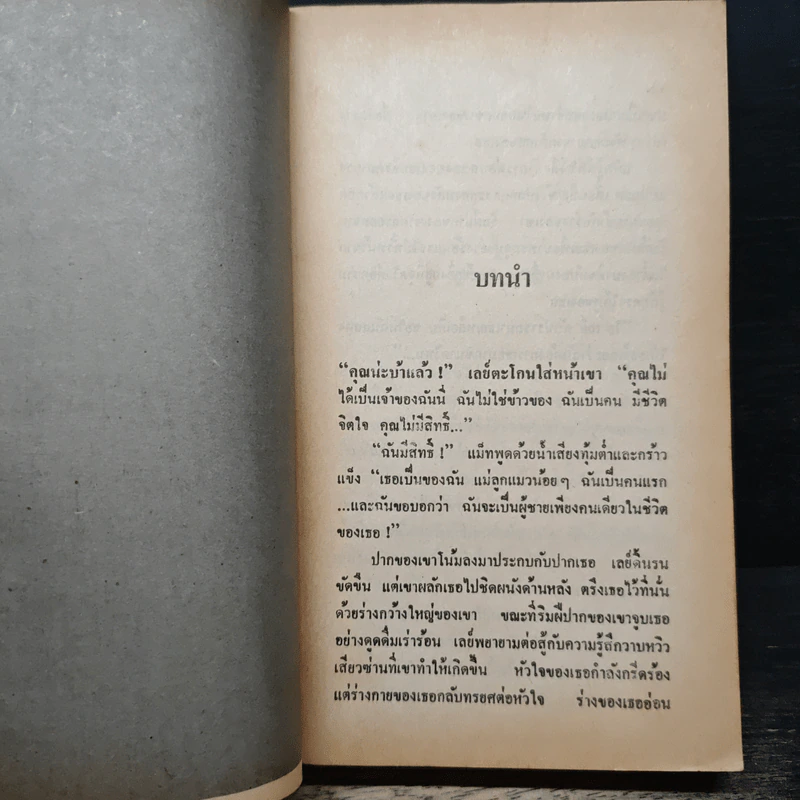นิยายโรมานซ์ เมียเก็บ - ไพลิน รูปที่ 7
