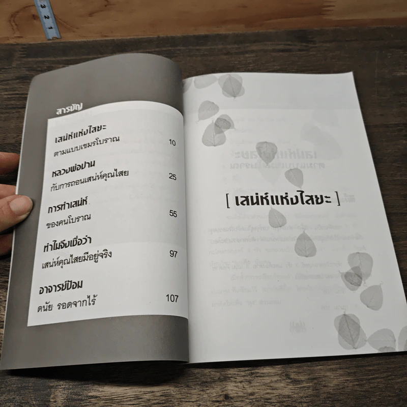 เสน่ห์แห่งไสยะ - คม พยัคฆเวทย์ รูปที่ 8