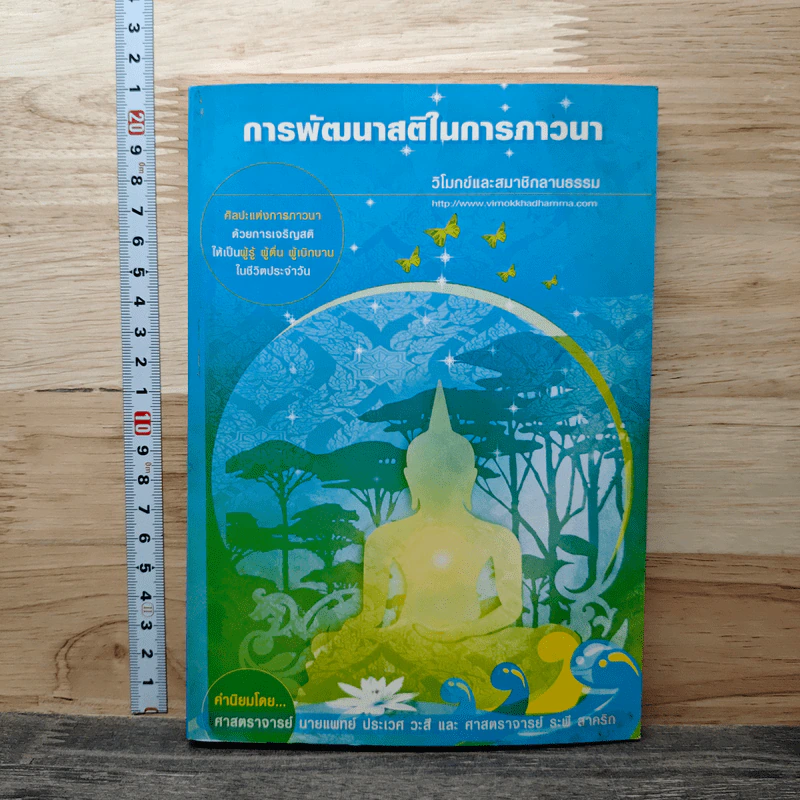 การพัฒนาสติในการภาวนา - นายแพทย์ประเวศ วะสี รูปที่ 1