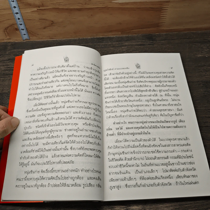เล่านิทานเซ็น - เขมานันทะ, อ.อภิปัญโญ รูปที่ 8
