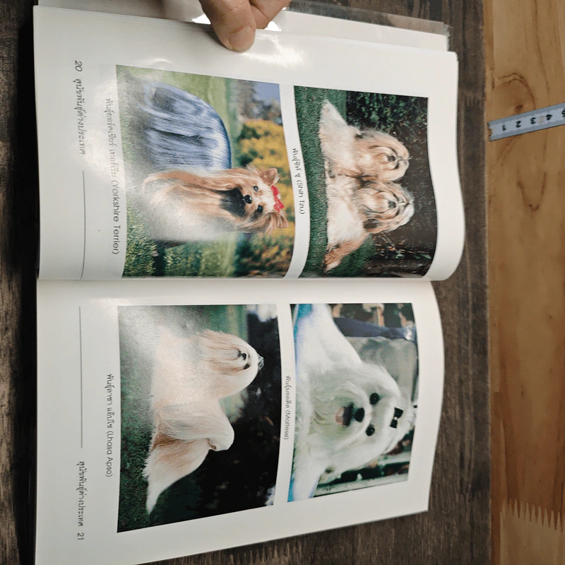 สุนัขพันธุ์ต่างประเทศ Dogs World - สันต์ นาคะสุวรรณ รูปที่ 7