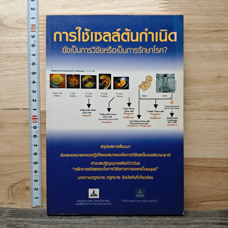 การใช้เซลล์ต้นกำเนิด ยังเป็นการวิจัยหรือเป็นการรักษาโรค? รูปที่ 1