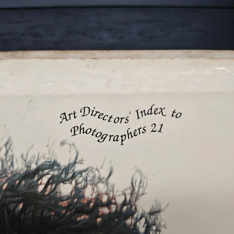 Boxset Art Director' Index to photographers 21 Vol.1-2 รูปที่ 2