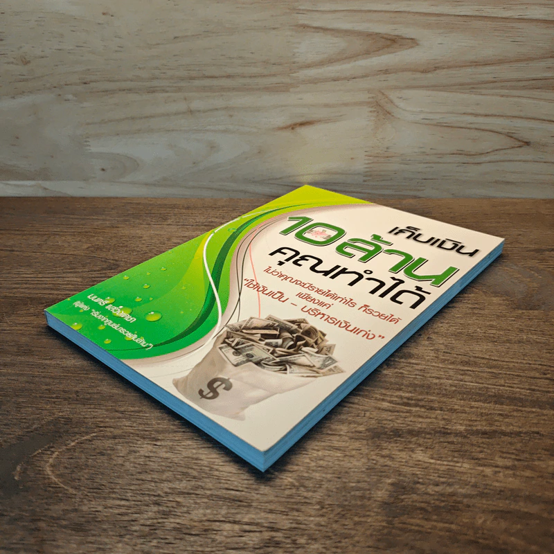 เก็บเงิน 10 ล้านคุณทำได้ - มนตรี แสวงเดชา รูปที่ 3