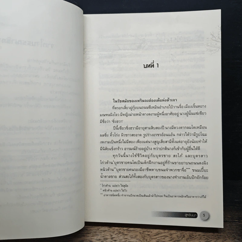 ฮูหยินบุก เล่ม 1 - หนู่หวางปู่ไจ้เจี่ย, ห้องสมุด รูปที่ 7