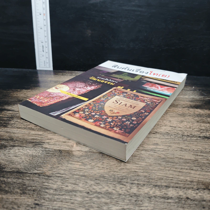 สืบค้นเรื่องไท(ย) รูปที่ 4